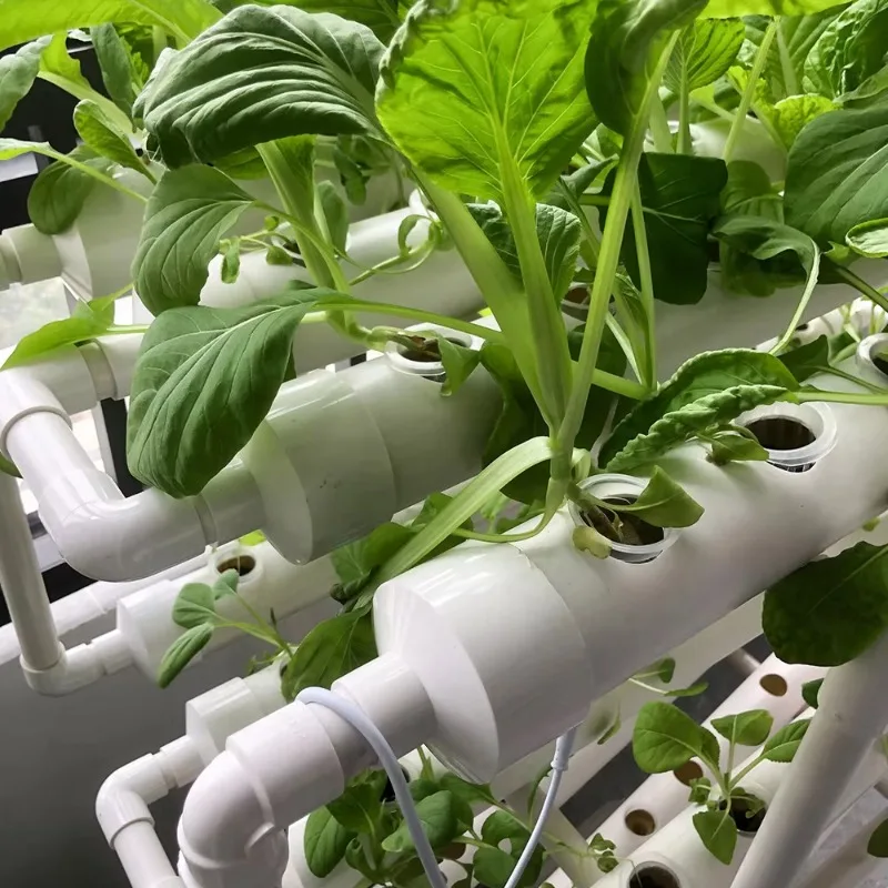 Hydroponic NFT Tube System – V - Urban Farming Usa review and price